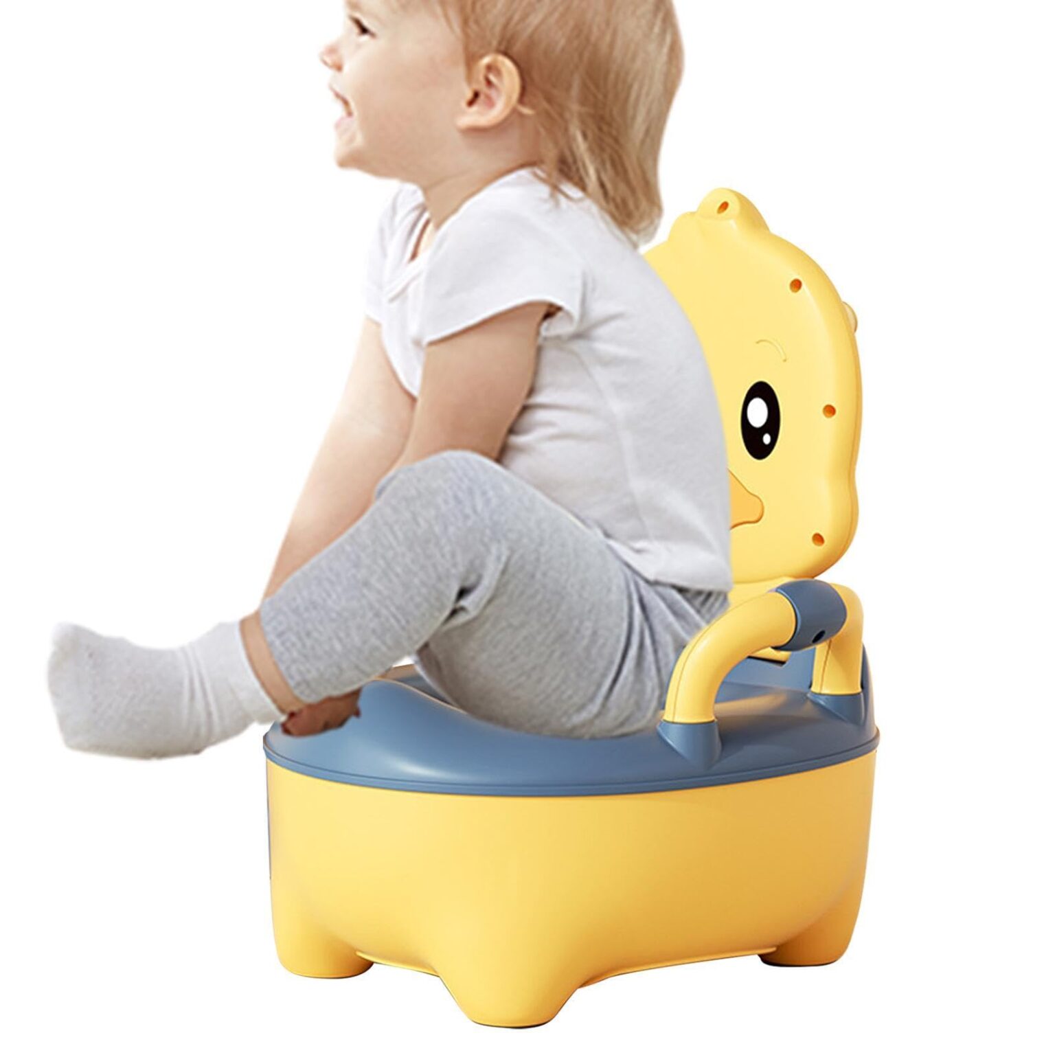 Potty Seats For Toddlers